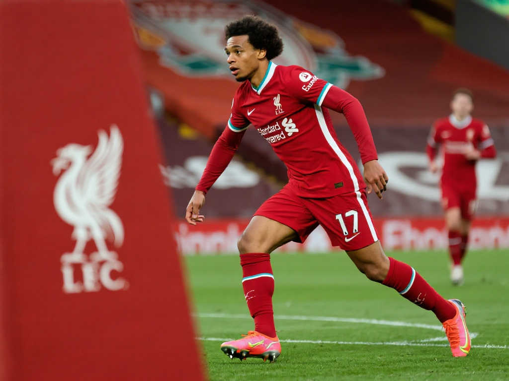 援坎贝奇的 援坎贝奇的