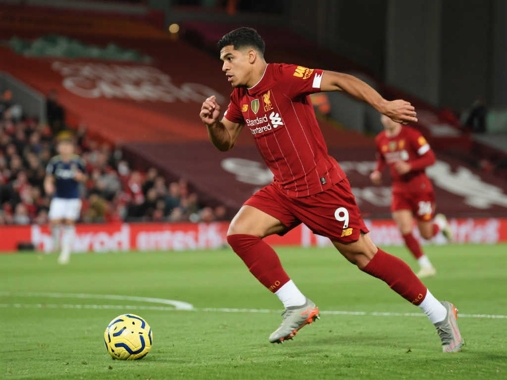 出色的足球 出色的足球